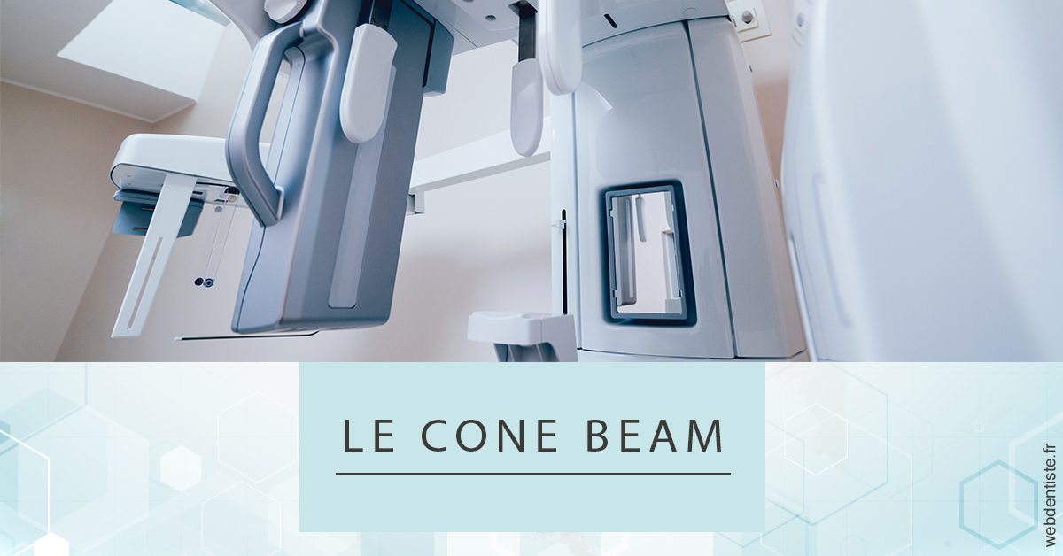 https://dr-belorgey-pierre.chirurgiens-dentistes.fr/Le Cone Beam 2