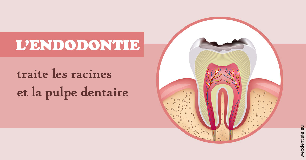 https://dr-belorgey-pierre.chirurgiens-dentistes.fr/L'endodontie 2