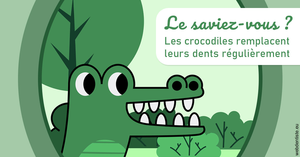 https://dr-belorgey-pierre.chirurgiens-dentistes.fr/Crocodiles 2