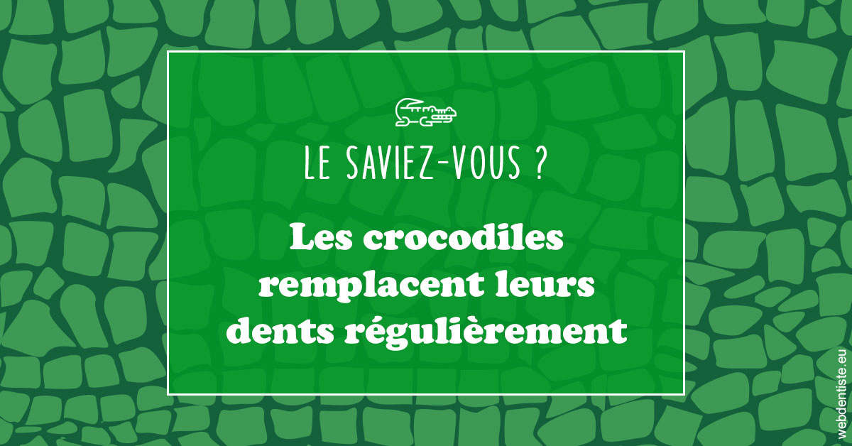 https://dr-belorgey-pierre.chirurgiens-dentistes.fr/Crocodiles 1